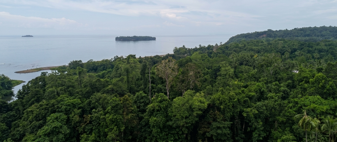 Community conservation area in Tavolo